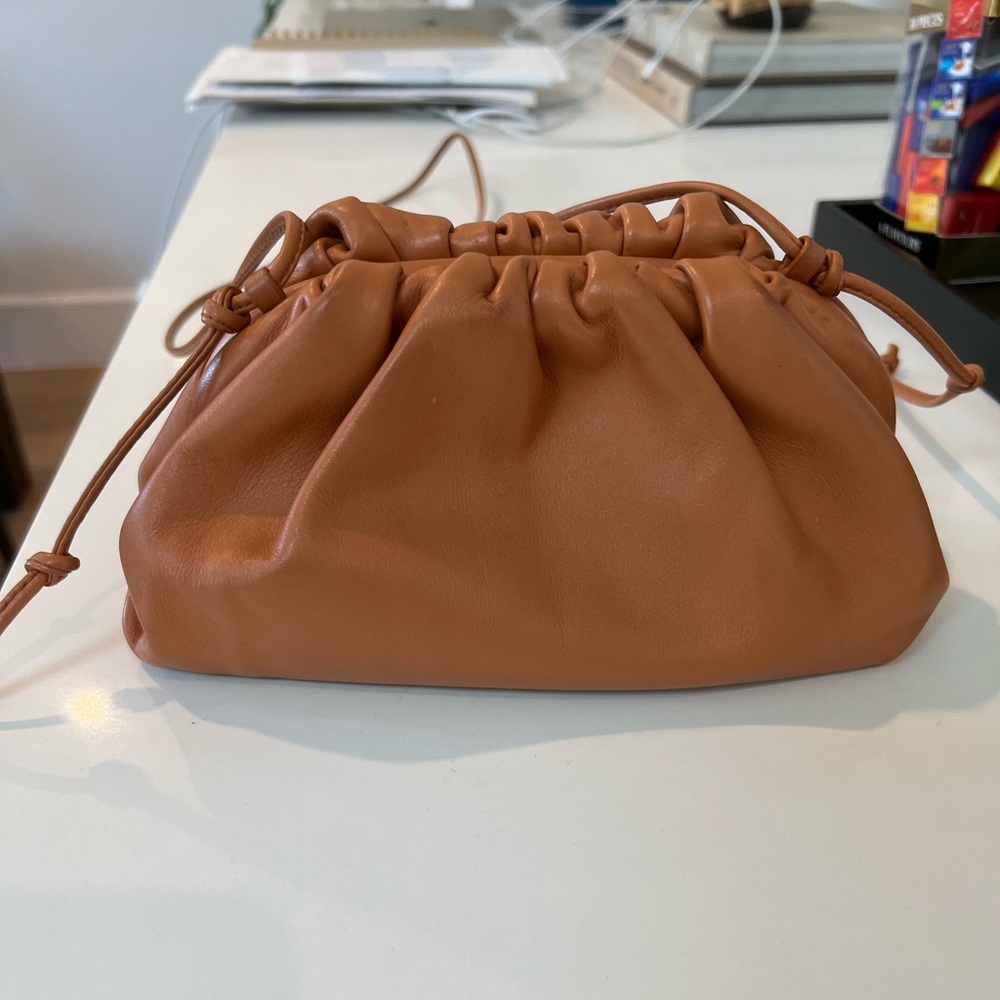 Bottega Veneta the pouch mini Rare color!